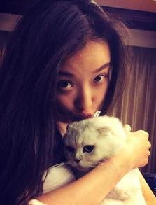 娱乐吃瓜酱虐猫小说,娱乐吃瓜酱的黑暗面揭露